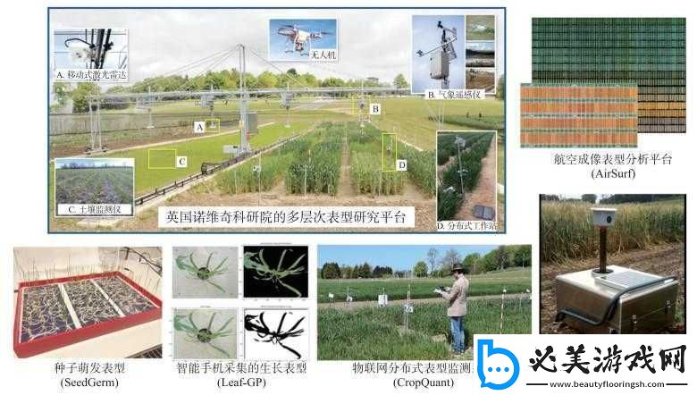 光明大陸：植物用途與采集點(diǎn)解析！